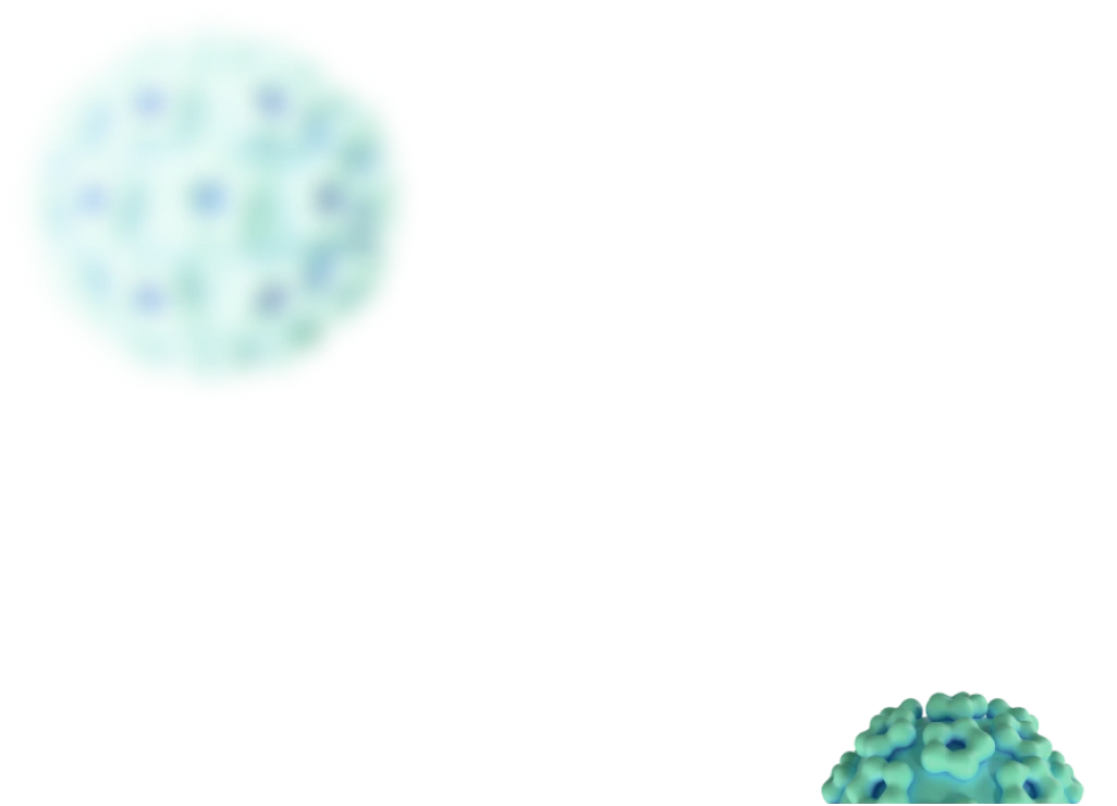 HPV Virus